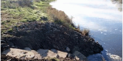 pegs on river Trent web.gif